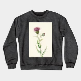 Prairie Thistle - Botanical Illustration Crewneck Sweatshirt